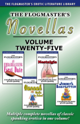 The Flogmaster's Novellas: Volume 25